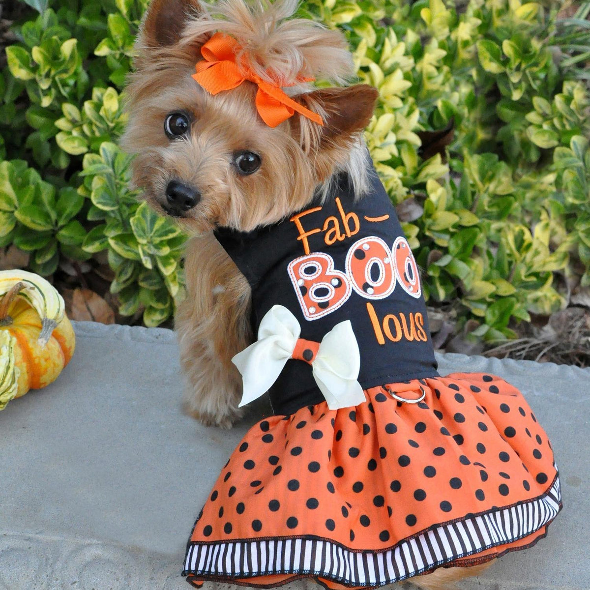 Halloween Dog Harness Dress: Fab-BOO-lous