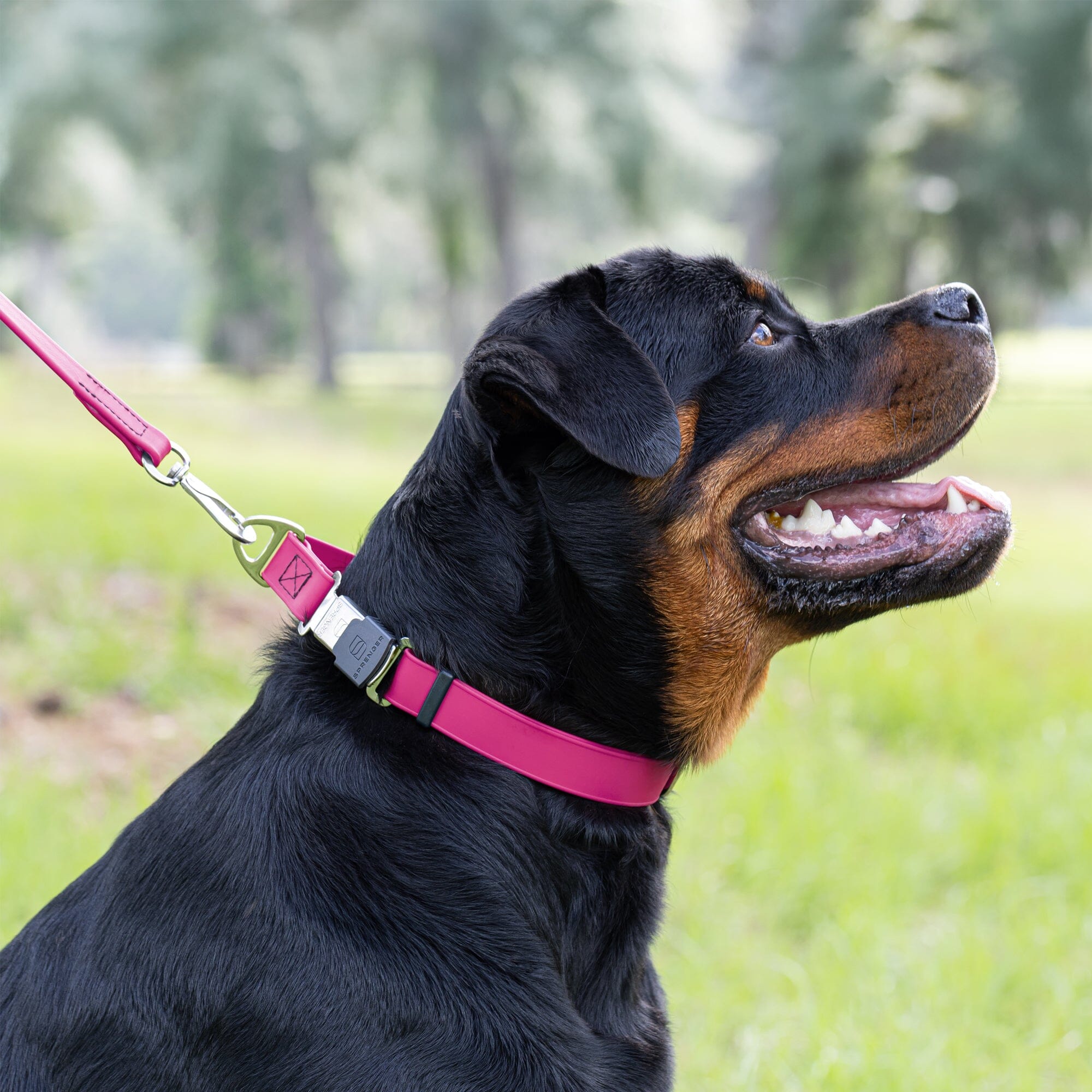 Sprenger BioThane Waterproof Dog Collar - Stainless Steel ClicLock Quick Release Buckle