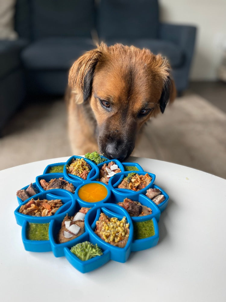 Mandala Slow Feeder Dog Bowl for Enrichment - 8" diameter x .75" deep