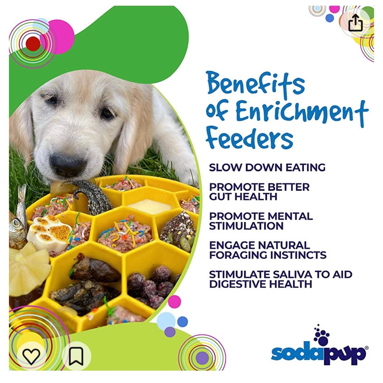 Honeycomb Slow Feeder Dog Bowl for Enrichment - 8" diameter x 2" deep