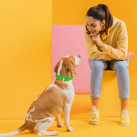 Brass: MEDIUM (15-18"long, 3/4"wide) Biothane Collar