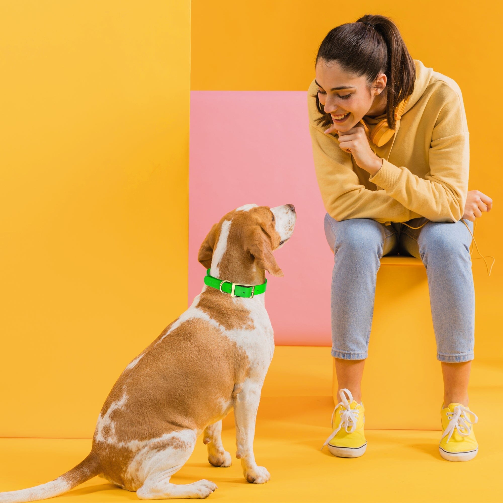 Brass: MEDIUM (15-18"long, 3/4"wide) Biothane Collar