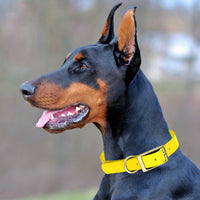 Brass: EXTRA SMALL (9-12"long, 1/2"wide) BioThane Collar