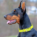 Brass: XXL (24-28"long, 1.5"wide) Biothane Collar