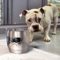 Pet Treat Canister with Airtight Lid Stainless Steel | BREKX