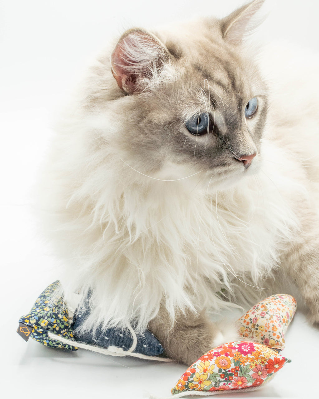 Modern Mouse Catnip Toy - Floral