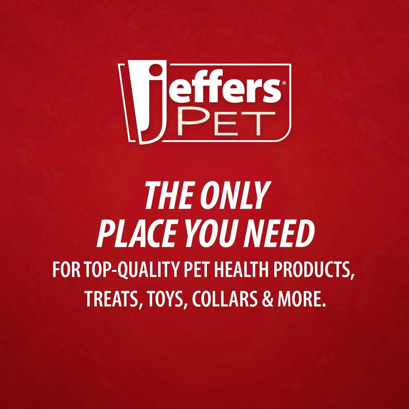 Flying Saucer Puppy Food & Water Bowl in Stainless Steel