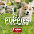 Flying Saucer Puppy Food & Water Bowl in Stainless Steel