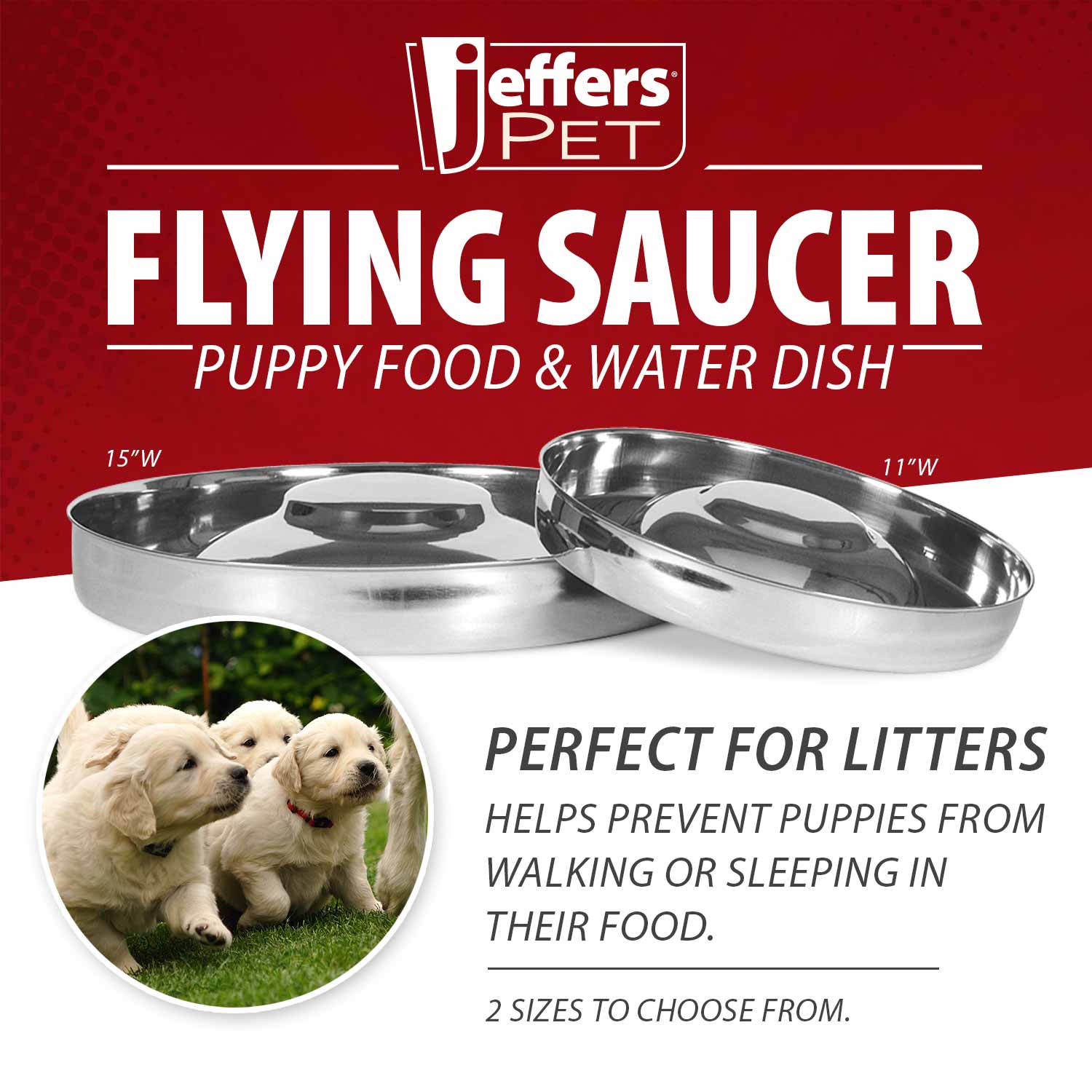 Flying Saucer Puppy Food & Water Bowl in Stainless Steel