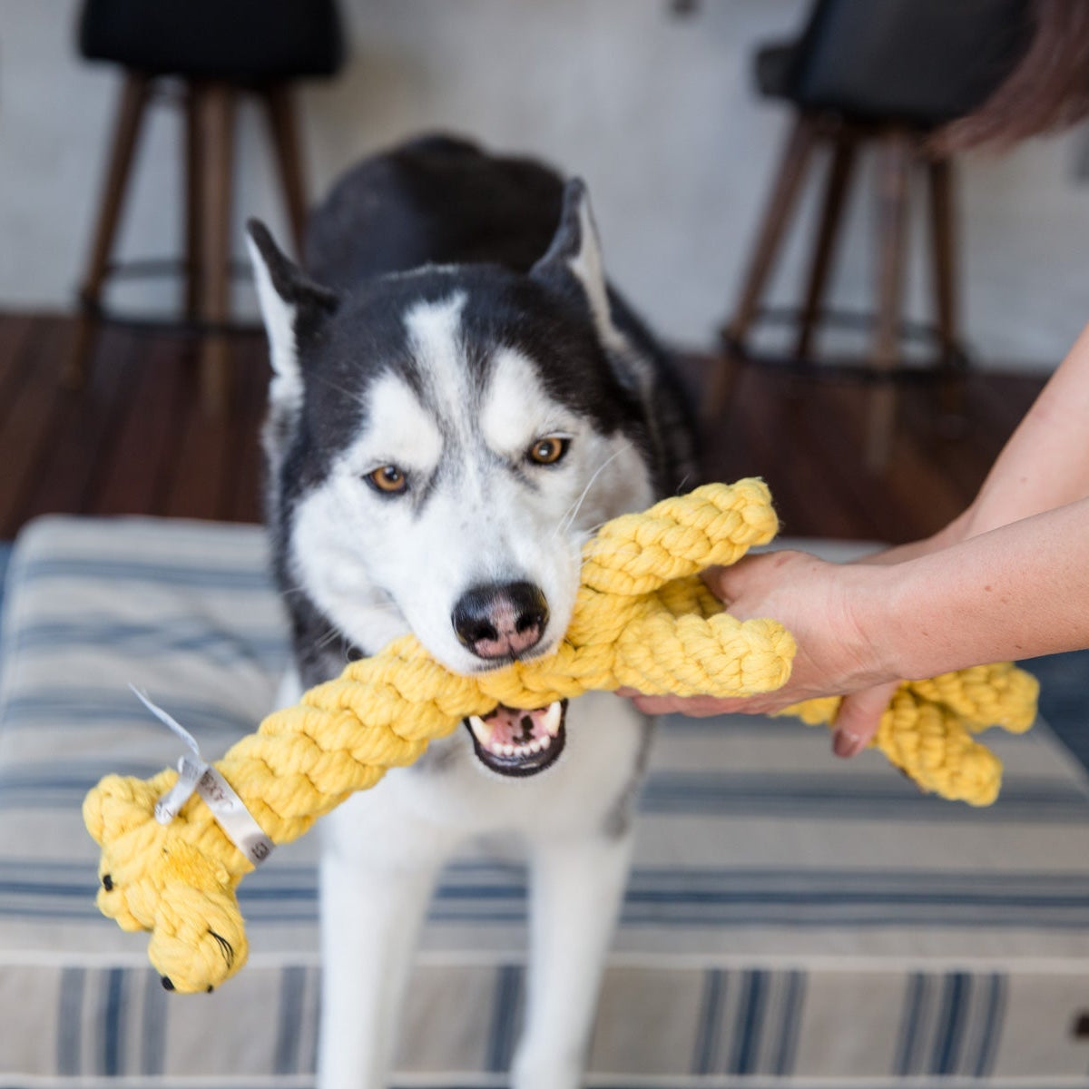 Jerry the Giraffe Rope Dog Toy by Jax & Bones