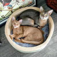 K&H Heated Cozy Cat Bed