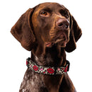Kisses Dog Collar & Leash