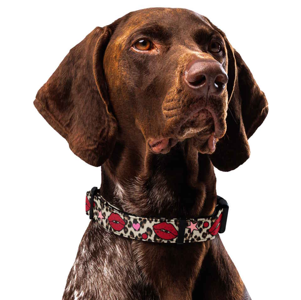 Kisses Dog Collar & Leash