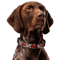 Kisses Dog Collar & Leash