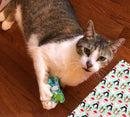 Kitty-Bat-About Cat Toys with Rattles
