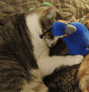 Kitty-Bat-About Cat Toys with Rattles