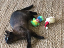 Kitty Combo Catnip & Rattle Cat Toy / Organic Catnip