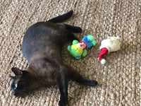 Kitty Combo Catnip & Rattle Cat Toy / Organic Catnip