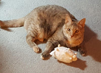 Kitty Combo Catnip & Rattle Cat Toy / Organic Catnip