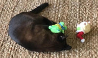 Kitty Combo Catnip & Rattle Cat Toy / Organic Catnip