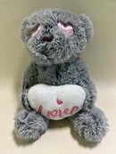 LARGE Hearts, Love & Candy Dog Toys Squeak & NO Squeak
