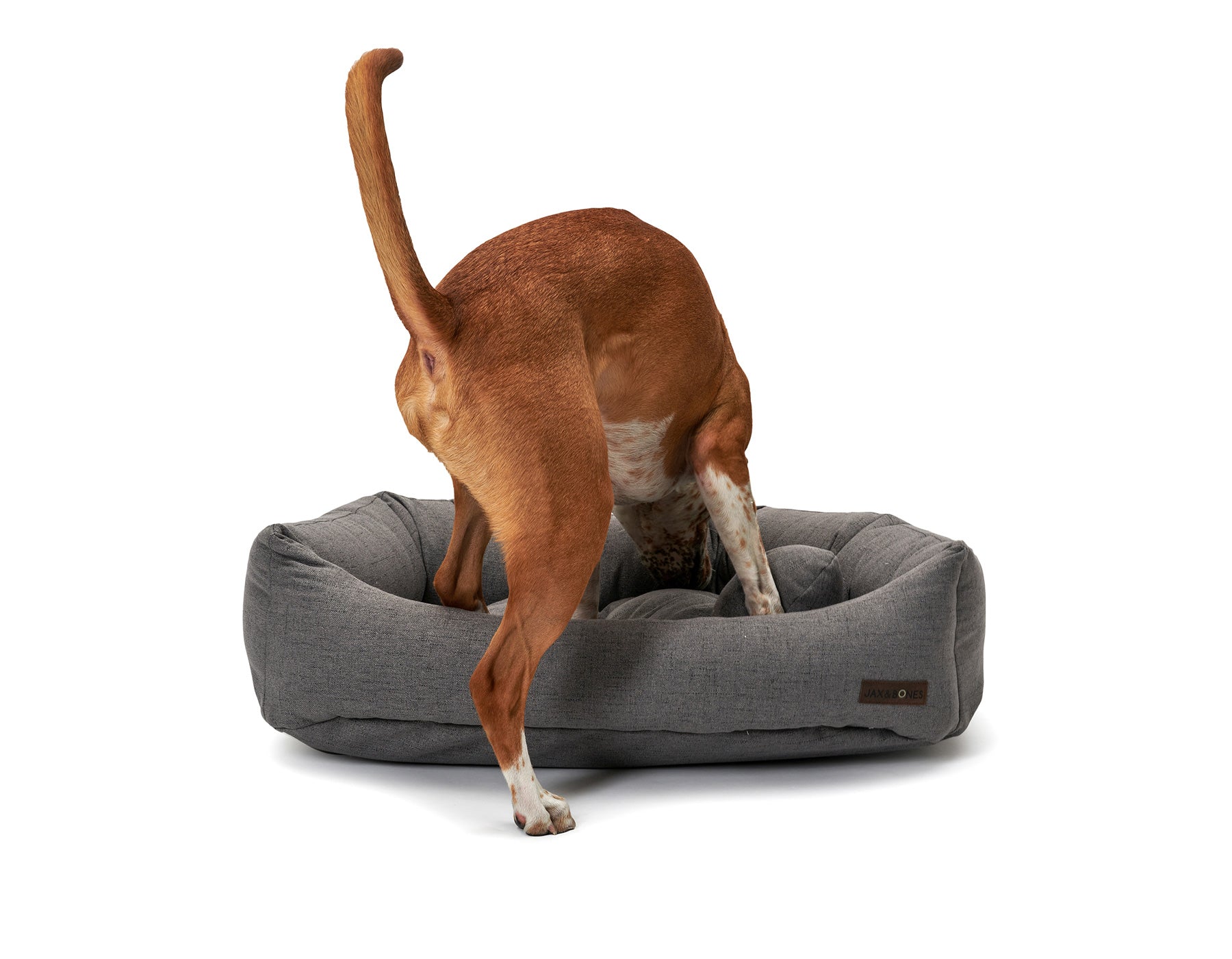 Lark Graphite Napper Dog Bed by Jax & Bones