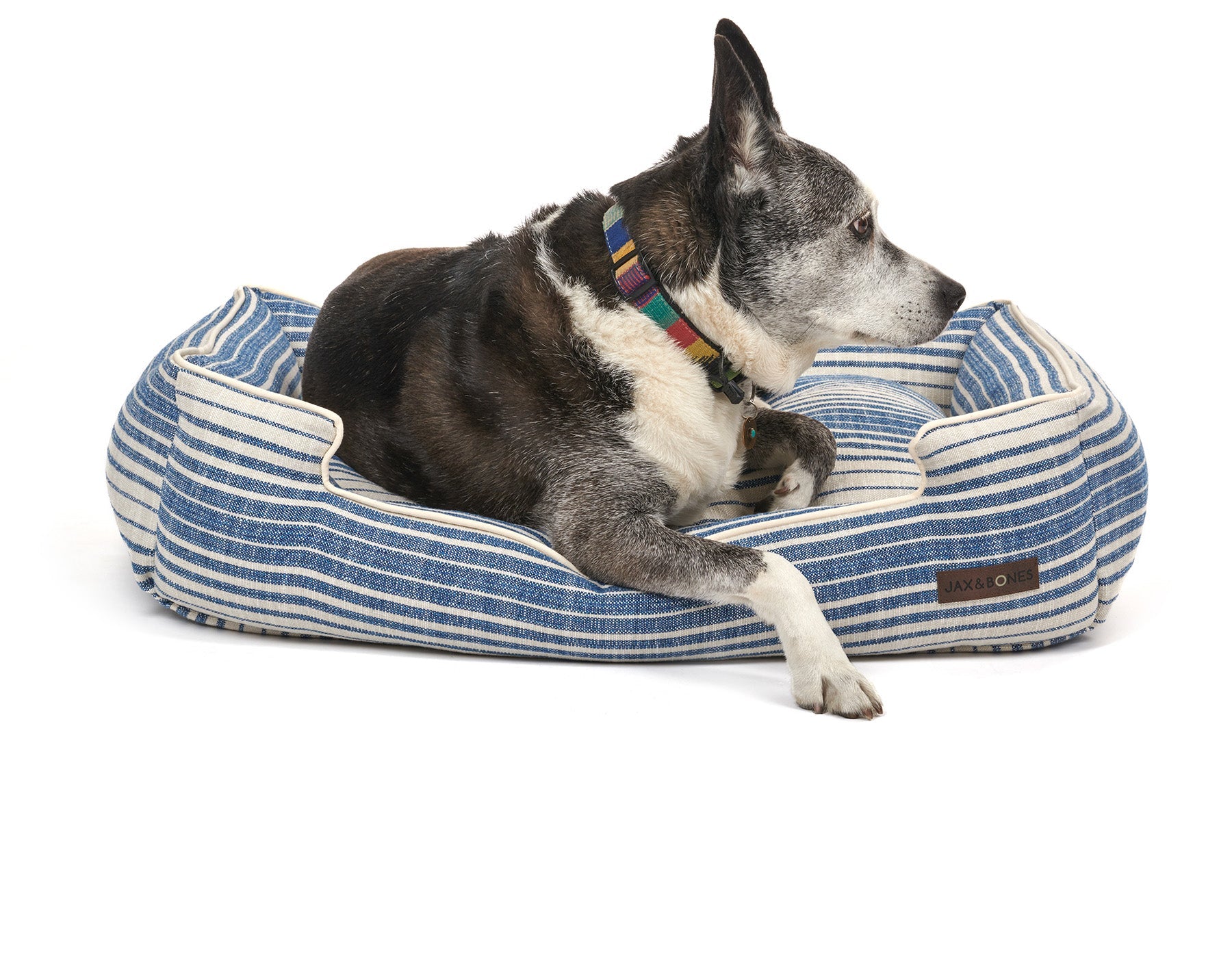 Hampton Navy Lounge Dog Bed by Jax & Bones
