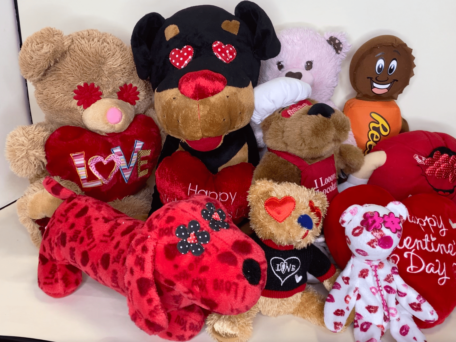 MEDIUM Hearts, Love & Candy Dog Toys: Squeak & NO SQUEAK