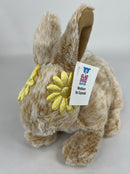 Medium NO SQUEAK Plush Dog Toys - Dogs 20-50 lbs