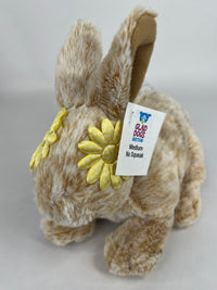 Medium NO SQUEAK Plush Dog Toys - Dogs 20-50 lbs