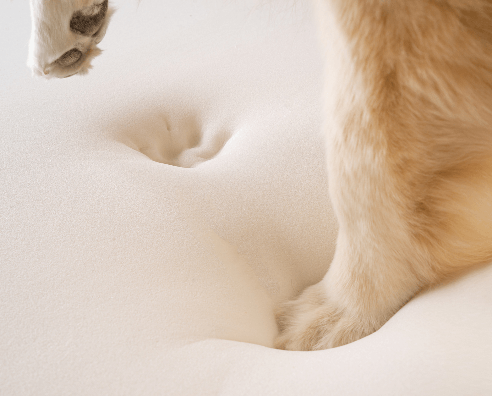 PupRug by Paw.com® Faux Fur Orthopedic Dog Bed: Curve Brown