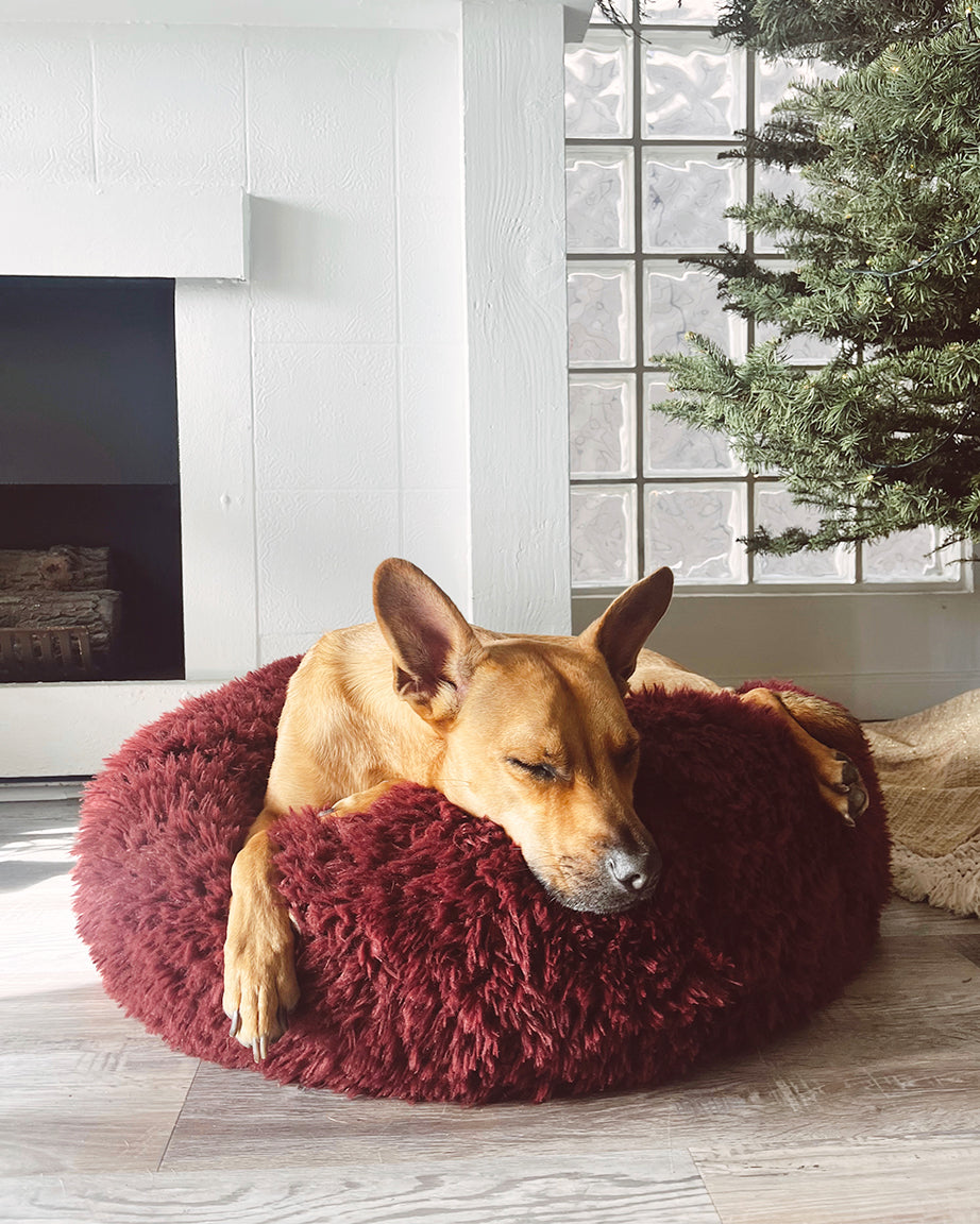 Pod Dog or Cat Bed