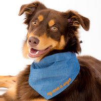The Embroidered Bandana