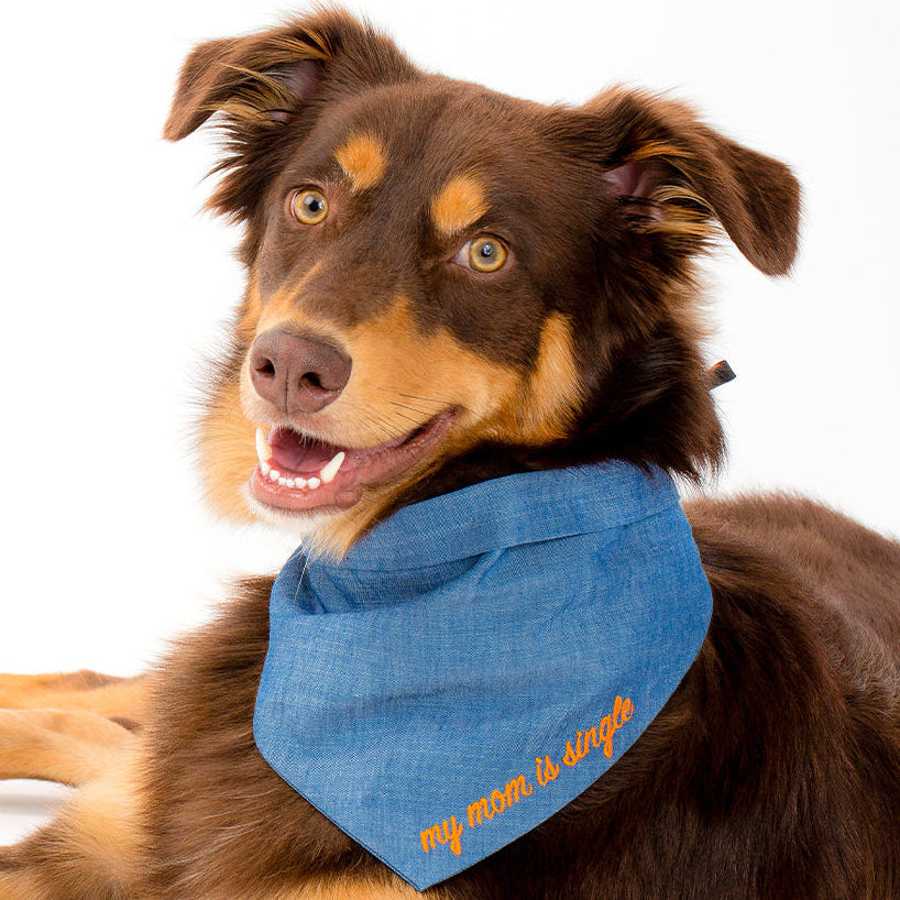 The Embroidered Bandana