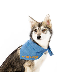 The Embroidered Bandana