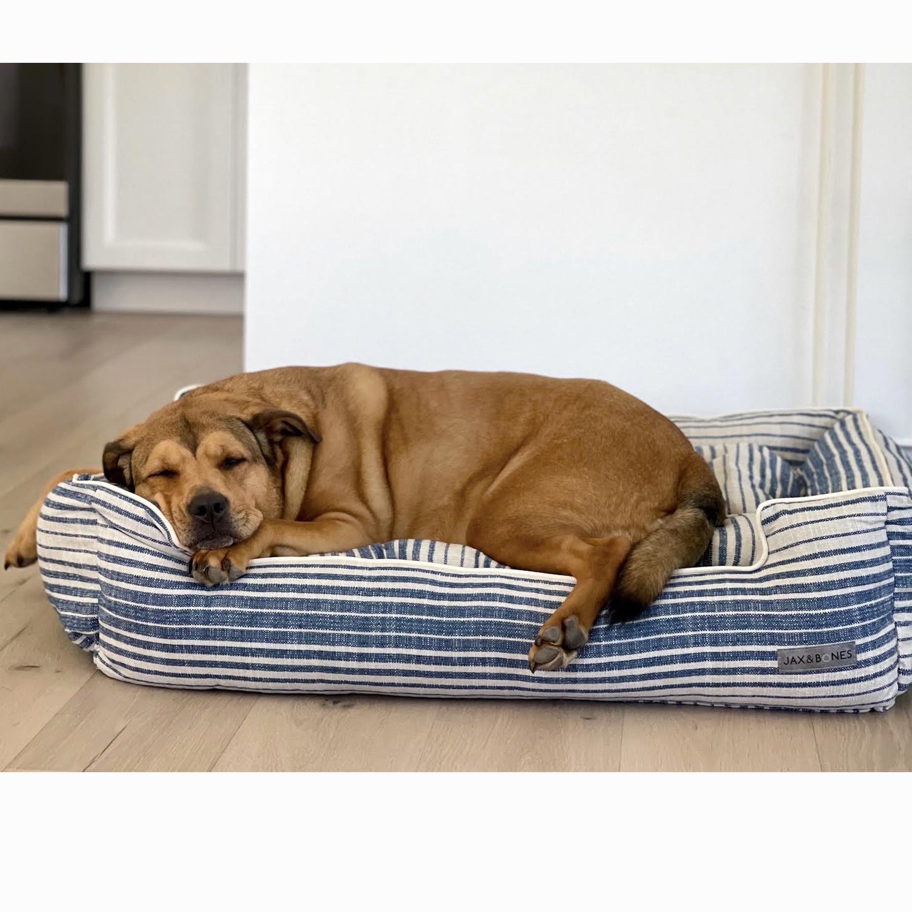 Hampton Navy Lounge Dog Bed by Jax & Bones