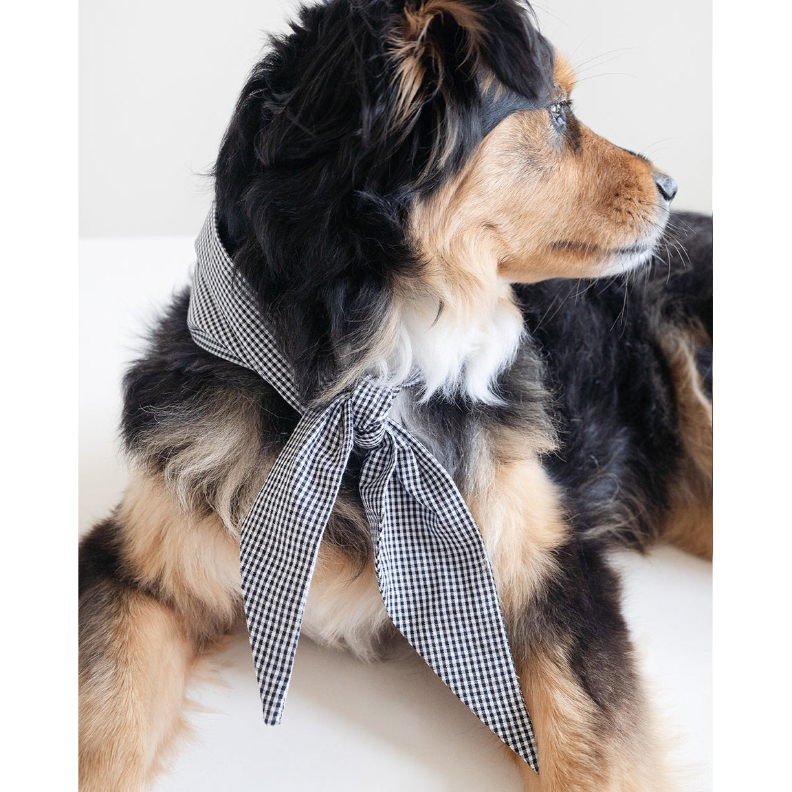 The Classic Necktie