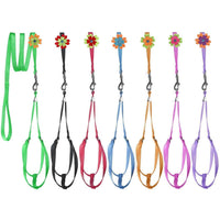 Step-In Nylon Dog Harness + Optional Flower Dog Leash