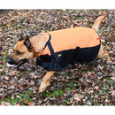 Waterproof Dog Blanket Coat