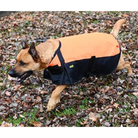 Waterproof Dog Blanket Coat