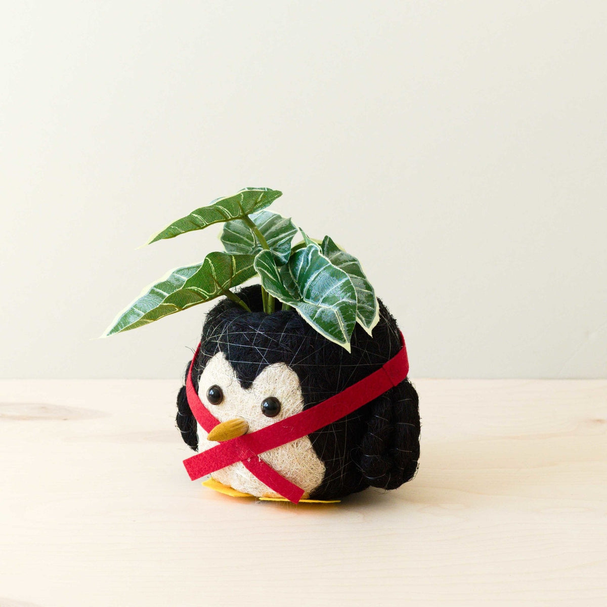 Penguin Planter - Coco Coir Pot | LIKHÂ
