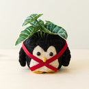 Penguin Planter - Coco Coir Pot | LIKHÂ