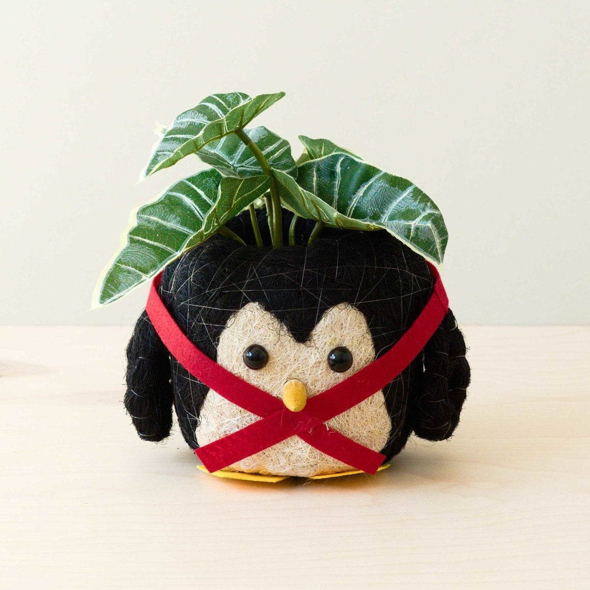 Penguin Planter - Coco Coir Pot | LIKHÂ