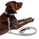 Argyle and Polka Dot Dog Collar & Leash