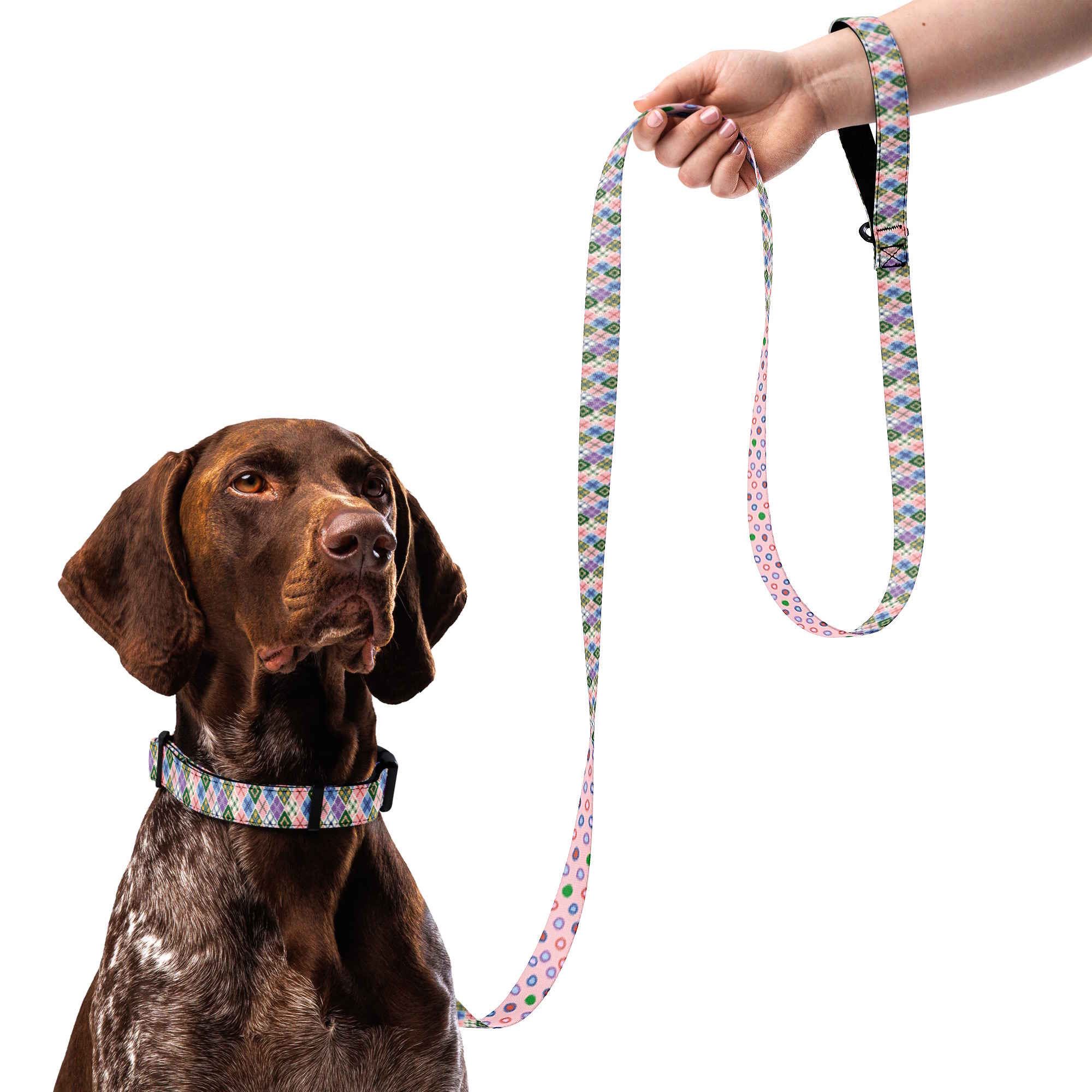 Argyle and Polka Dot Dog Collar & Leash