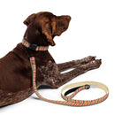 Plaid and Speckles Dog Collar & Leash