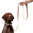Plaid and Speckles Dog Collar & Leash