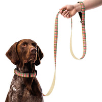 Plaid and Speckles Dog Collar & Leash