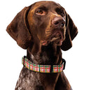 Plaid and Speckles Dog Collar & Leash