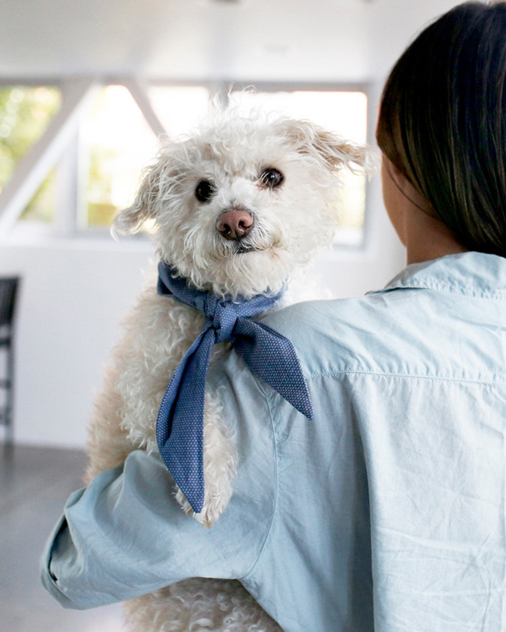 The Classic Necktie